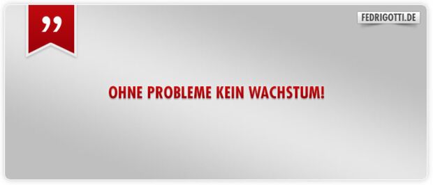 Ohne Probleme kein Wachstum!