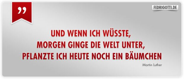 Und wenn ich wüsste, morgen ginge die Welt unter, pflanzte ich heute noch ein Bäumchen.